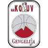 https://img.qzscnhh.com/img/basketball/team/4b06fe02aaa7da5901e5698485059da0.png