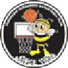 https://img.qzscnhh.com/img/basketball/team/e416830f4083698237c559f8988ddb25.png