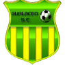 https://img.qzscnhh.com/img/football/team/3dfa700c1f084e5a18fc926d6f7ae427.png