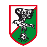 https://img.qzscnhh.com/img/football/team/e6a8908dd206e2ea02d9803c82c60bba.png